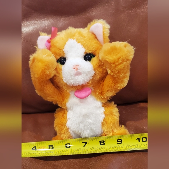 8 inch Fur Real Friends Peek A Boo Orange Cat Interactive Toy Works - Picture 10 of 11